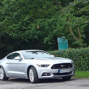 Silvy 5.0 Mustang GT Auto PP Elena Bücker Alois Buecker 39