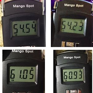 weights