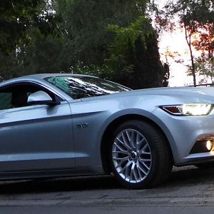 Silvy sonnenaufgang 5.0 Mustang GT Auto PP Elena Bücker Alois Buecker 10