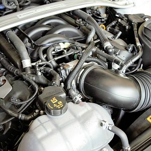 Showing:  OEM GT350 CAI, Passenger Side Ford Performance Catch Can