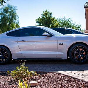 2017 Mustang