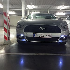 IMG 6843