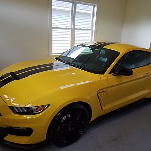 My Shelby 
Stock for now but not for long