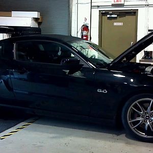 1st mustang. 2013 Mustang premium track pack.
Koni shocks with Steeda springs and some BMR stuff
ARH long tube w/off road X into Stainless Work exha