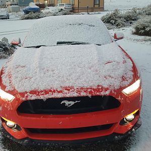 2016 02 10 20.23.52