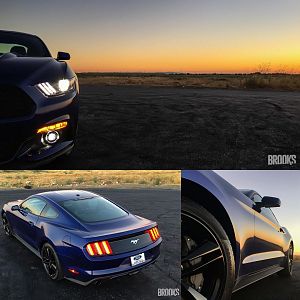 collage of shots