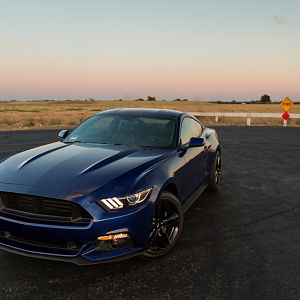 2016 Premium Performance Package Ecoboost - Auto trans, MBRP Race cat-back exhaust, Roush CAI, wheel spacers, GT grill with grill delete