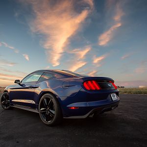 2016 Premium Performance Package Ecoboost - Auto trans, MBRP Race cat-back exhaust, Roush CAI, wheel spacers, GT grill with grill delete