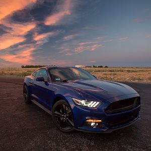 2016 Premium Performance Package Ecoboost - Auto trans, MBRP Race cat-back exhaust, Roush CAI, wheel spacers, GT grill with grill delete
