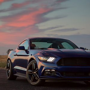 2016 Premium Performance Package Ecoboost - Auto trans, MBRP Race cat-back exhaust, Roush CAI, wheel spacers, GT grill with grill delete