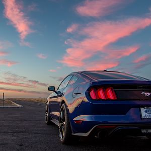 2016 Premium Performance Package Ecoboost - Auto trans, MBRP Race cat-back exhaust, Roush CAI, wheel spacers, GT grill with grill delete