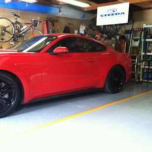 IMG 0671[1]