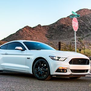 2017 Mustang GT Golden Hour 2511 800[1]