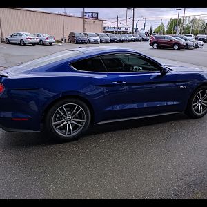 2 days old, tinted