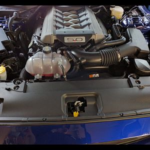 Redline hood struts - no hood prop