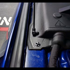 Redline hood struts