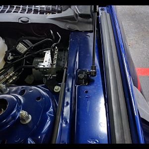 Redline hood struts