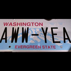 New plates!