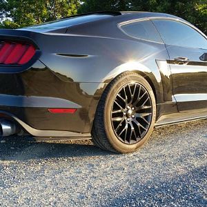 Ford Performance Track suspension and RTR side skirts installed - 1" drop.