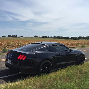 4th of July cruise.  Nice view of the MMD roof spoiler; really blends well with the shape of the S550.