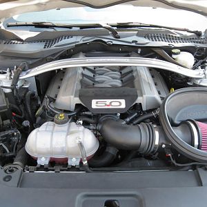 Roush CAI