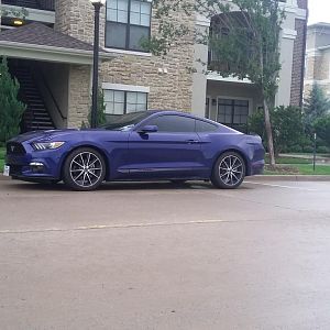 Lowered .25