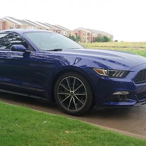 Lowered2 .25
