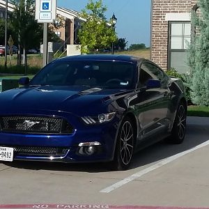 Front GT Grille