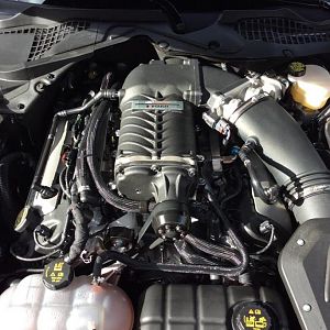 Phase 2 Roush Supercharger Kit.  727HP