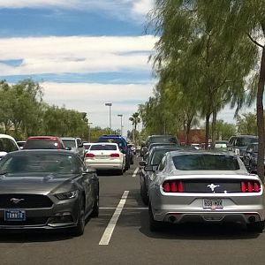 Found a friend.