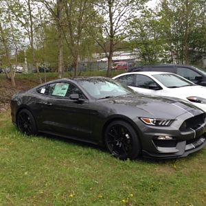 Parked on the back lot