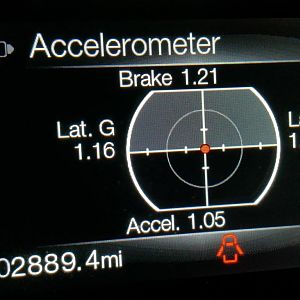 7716.jpg