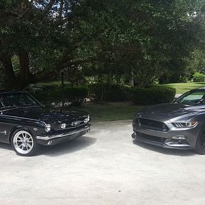 Side by Side 2