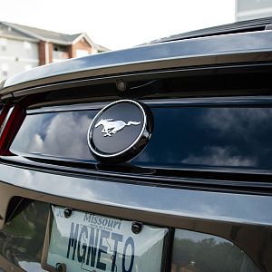 Euro decklid panel