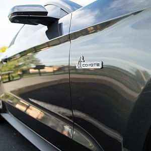 Coyote fender badges