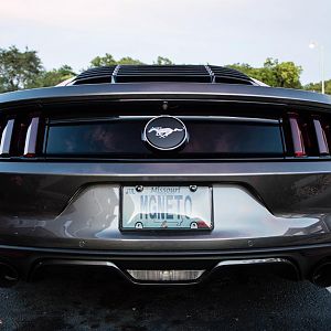 Euro decklid