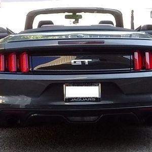 Mustang20160816 (1)