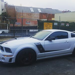 Nice Stang in Brooklyn Summer 2016