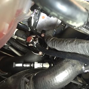 bov3