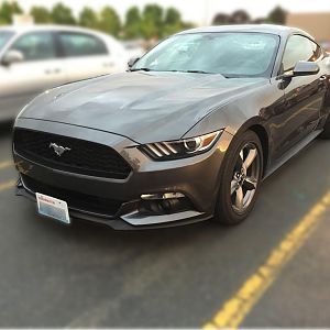 Front 3/4 View