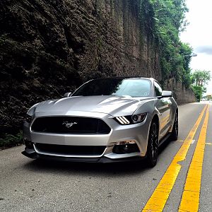 Stang   palm beach