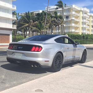 Stang   palm beach