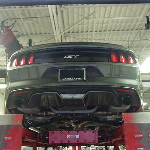 Mustang20160919 01