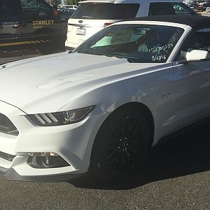 My first photo of the car when she arrived