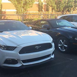 Already made a friend at work!