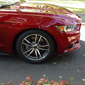 front half1