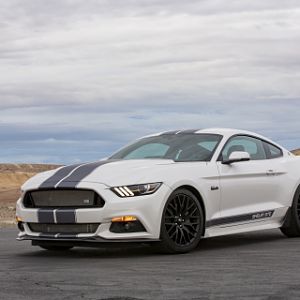 Custom 17 Shelby GTE photo courtesy Business News