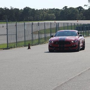 IMG 9686