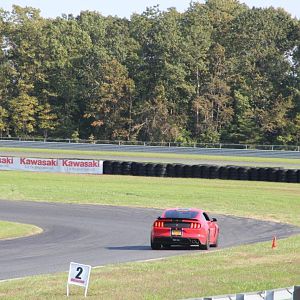 IMG 9825