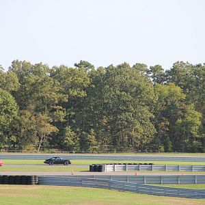 IMG 9831